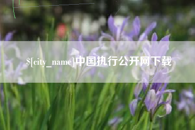 阿克苏中国执行公开网下载
