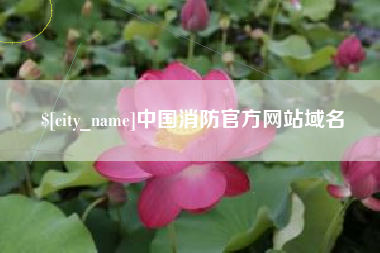 阿克苏中国消防官方网站域名