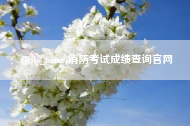 阿克苏消防考试成绩查询官网