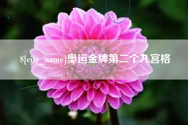 阿克苏奥运金牌第二个九宫格