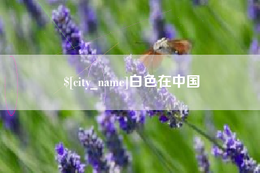 阿克苏白色在中国