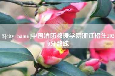 阿克苏中国消防救援学院浙江招生2020分数线