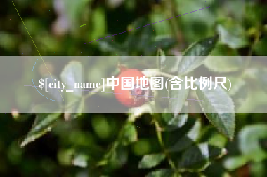 阿克苏中国地图(含比例尺)