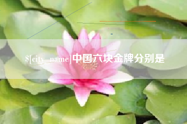 阿克苏中国六块金牌分别是