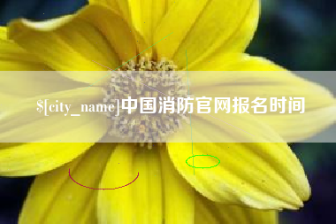 阿克苏中国消防官网报名时间