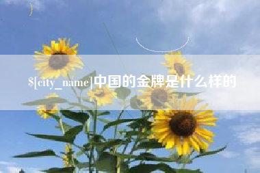 阿克苏中国的金牌是什么样的