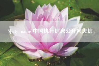 阿克苏中国执行信息公开网失信