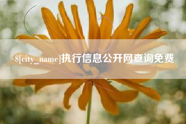 阿克苏执行信息公开网查询免费