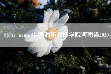 阿克苏中国消防救援学院河南省2020
